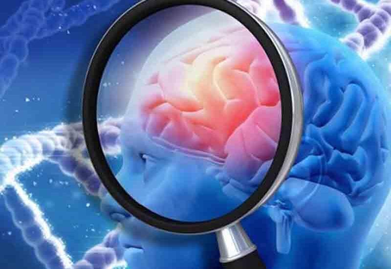 Bu vərdiş beyni 8 il gəncləşdirir