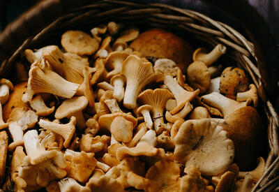 Чем могут быть опасны домашние грибные заготовки?