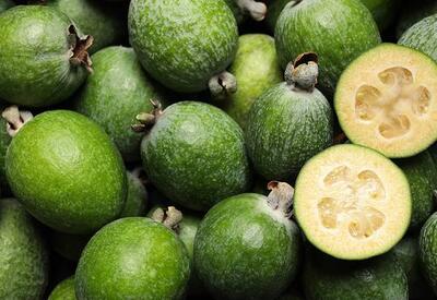 Половина суточной нормы йода: диетолог Соломатина рассказала о пользе фейхоа