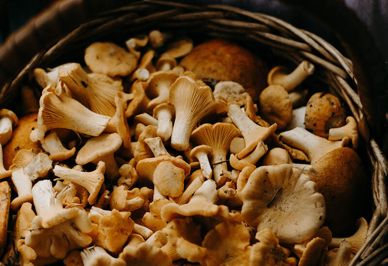 Чем могут быть опасны домашние грибные заготовки?
