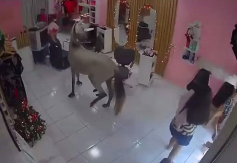 Лошадь ворвалась в салон красоты в Бразилии