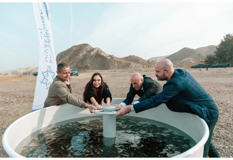 Heydər Əliyev Fondunun vitse-prezidenti Leyla Əliyeva Mingəçevirdə ekoloji aksiyalarda iştirak edib