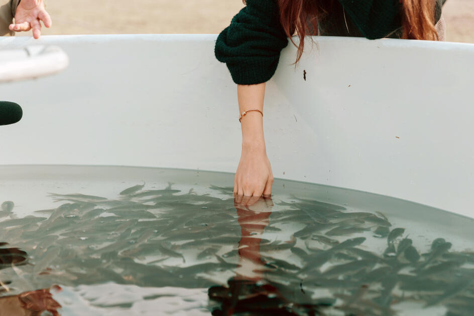 Heydər Əliyev Fondunun vitse-prezidenti Leyla Əliyeva Mingəçevirdə ekoloji aksiyalarda iştirak edib