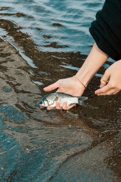 Heydər Əliyev Fondunun vitse-prezidenti Leyla Əliyeva Mingəçevirdə ekoloji aksiyalarda iştirak edib