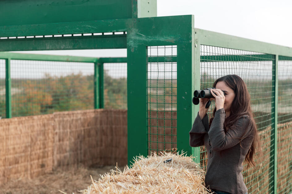 Heydər Əliyev Fondunun vitse-prezidenti Leyla Əliyeva Mingəçevirdə ekoloji aksiyalarda iştirak edib