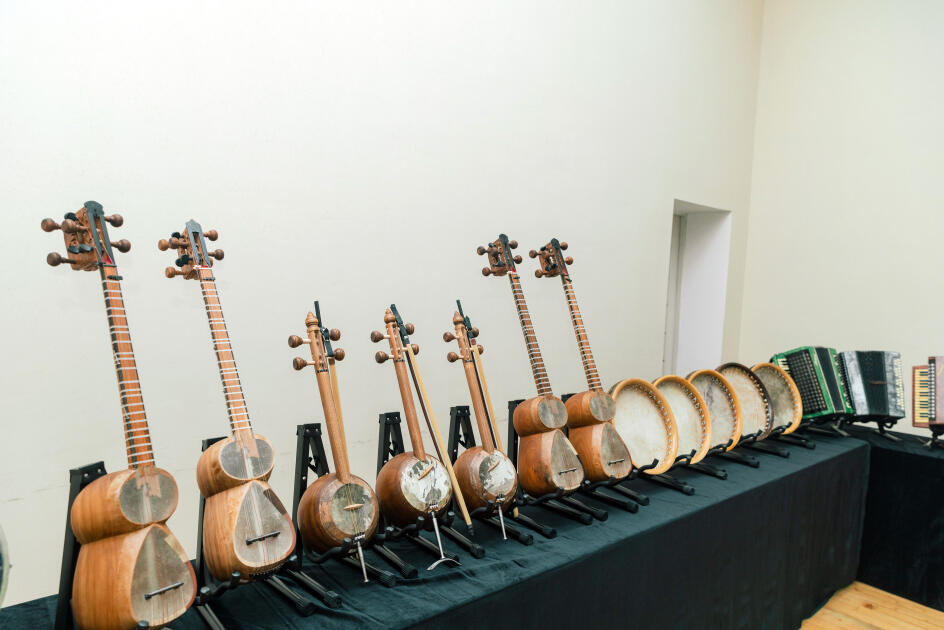 Leyla Əliyeva Mingəçevirdə şəhid ailəsini ziyarət edib, bir sıra sosial müəssisələrlə tanış olub