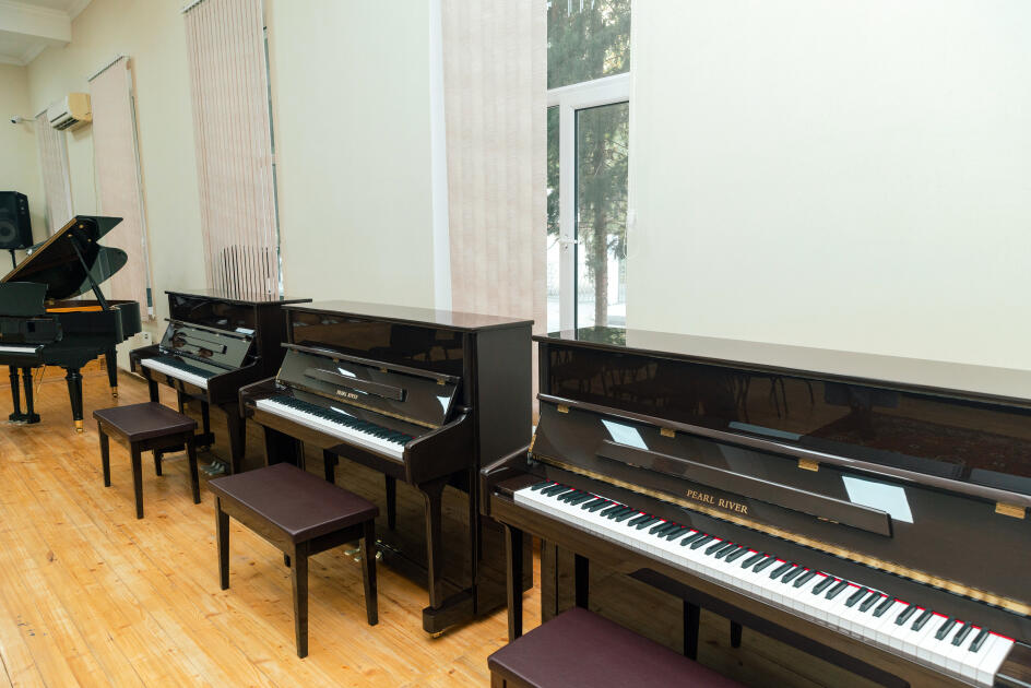 Leyla Əliyeva Mingəçevirdə şəhid ailəsini ziyarət edib, bir sıra sosial müəssisələrlə tanış olub