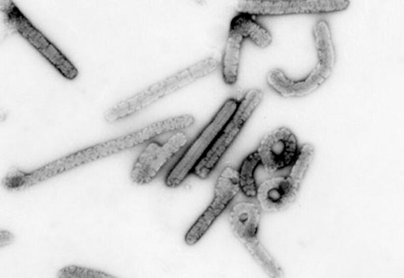 В Эфиопии зарегистрирована первая вспышка марбургской лихорадки