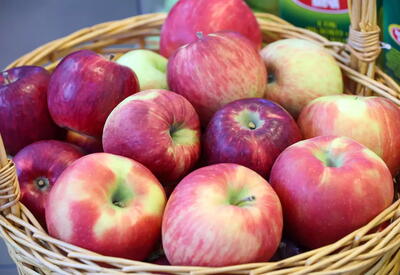 Назван способный защитить легкие зимой фрукт