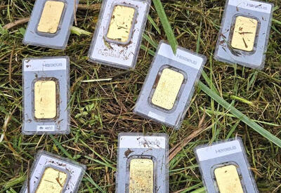 Мужчина, косивший траву, нашел в ней клад