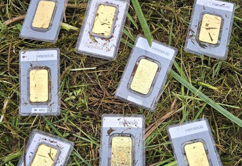 Мужчина, косивший траву, нашел в ней клад