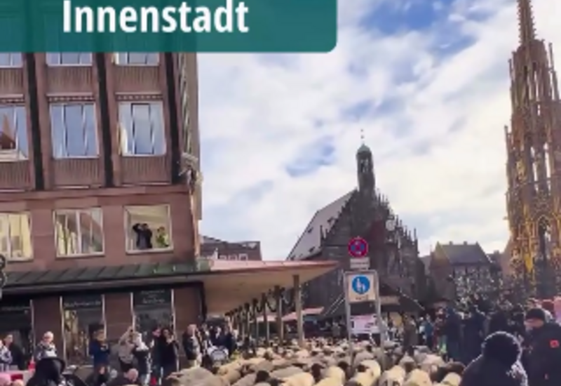 Сотни овец прошли через центр Нюрнберга