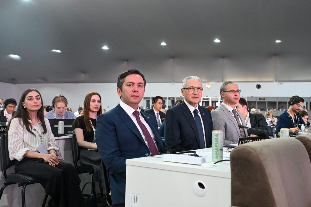 Ялчин Рафиев представил национальное заявление Азербайджана на COP30