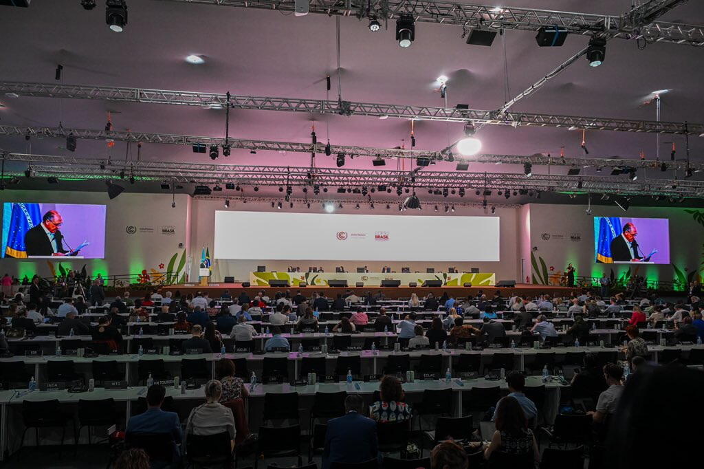 Ялчин Рафиев представил национальное заявление Азербайджана на COP30