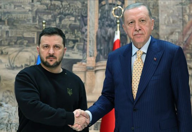 Эрдоган проведет переговоры с Зеленским