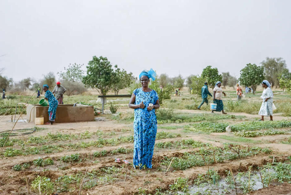 National Geographic представил лучшие кадры 2025 года