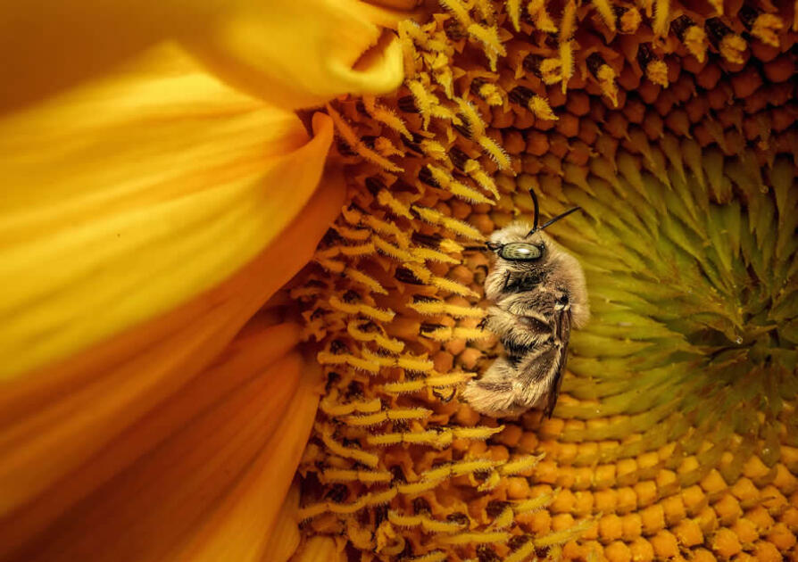 National Geographic представил лучшие кадры 2025 года