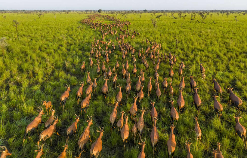 National Geographic представил лучшие кадры 2025 года