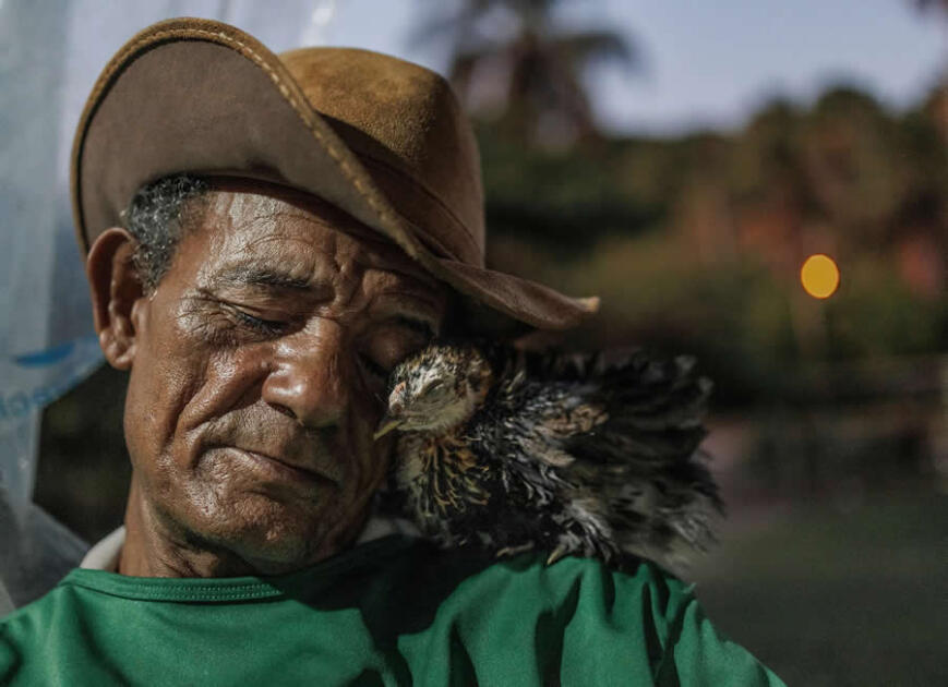 National Geographic представил лучшие кадры 2025 года