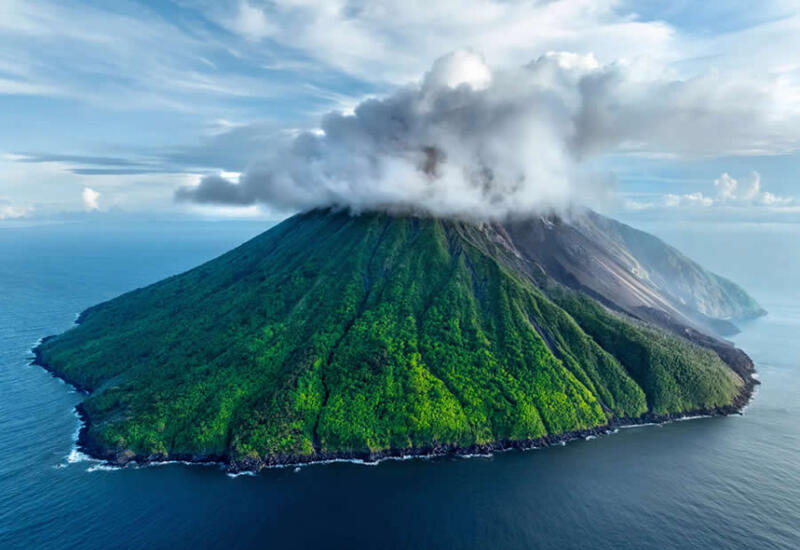 National Geographic представил лучшие кадры 2025 года