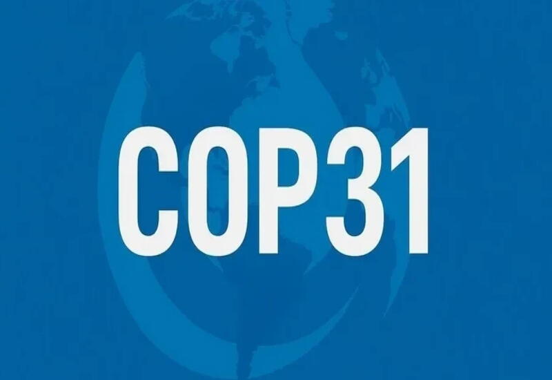 COP31 пройдет в Турции
