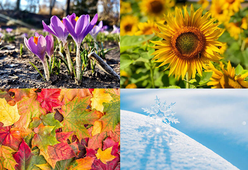 Названы даты наступления времен года в Азербайджане