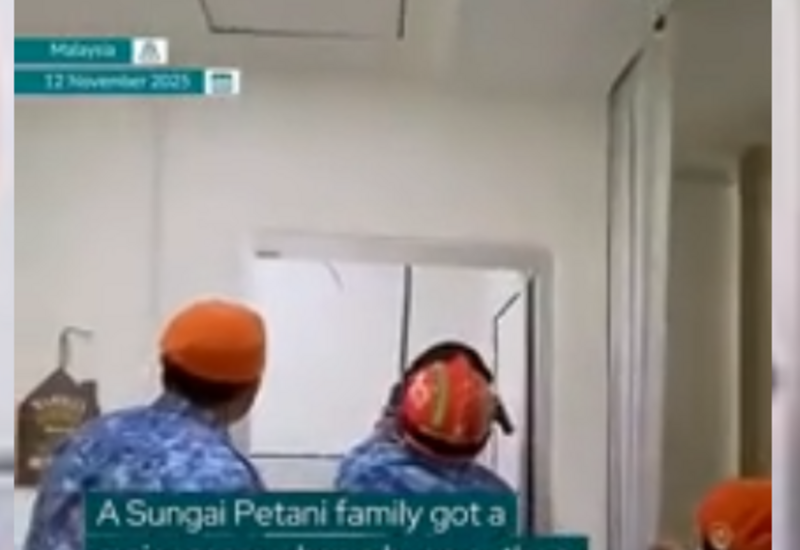 Гигантский питон обрушил потолок в Малайзии