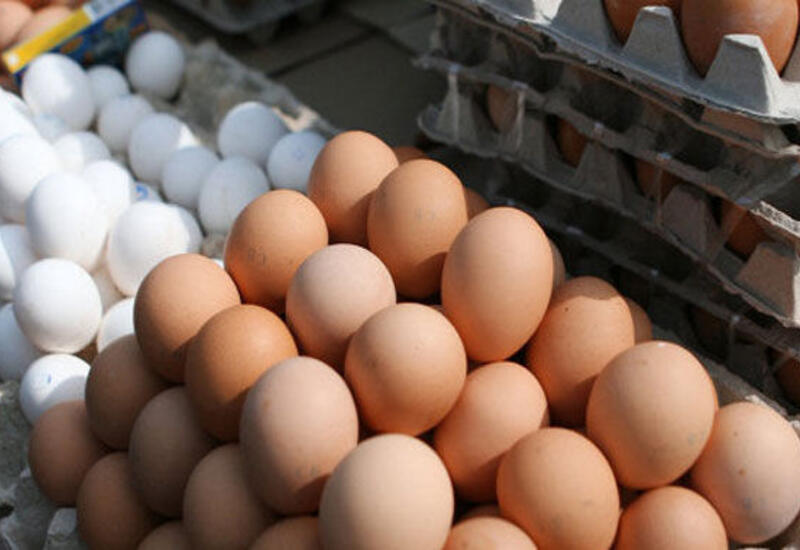 Yumurtanın qiyməti dəyişdi