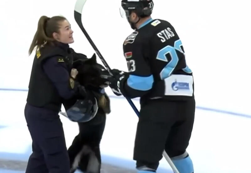 Собака вцепилась зубами в двух хоккеистов перед матчем