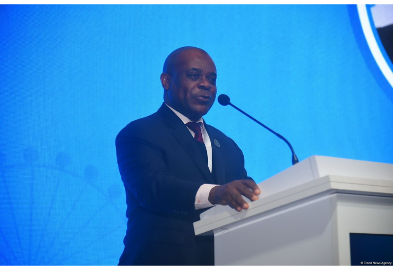 Вступление Азербайджана в D-8 привнесло позитивные изменения в работу организации