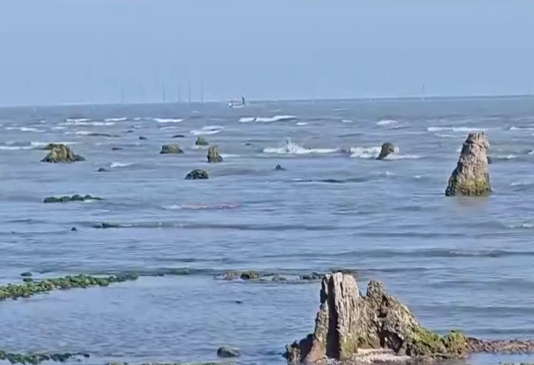 Azərbaycanda dəniz geri çəkildi, meşə zolağı ortaya çıxdı