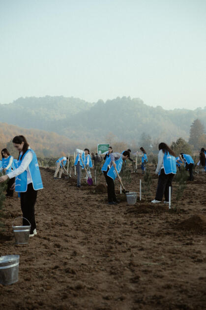 Leyla Əliyeva, Arzu Əliyeva və Alena Əliyeva Lənkəranda ekoloji aksiyalarda iştirak ediblər