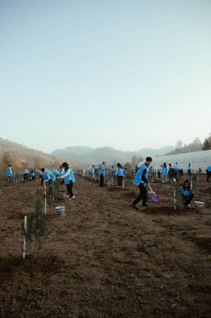 Leyla Əliyeva, Arzu Əliyeva və Alena Əliyeva Lənkəranda ekoloji aksiyalarda iştirak ediblər