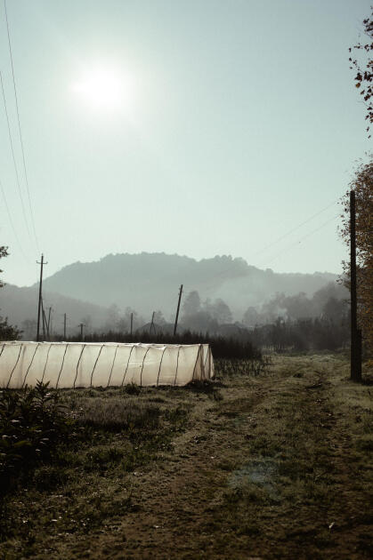 Leyla Əliyeva, Arzu Əliyeva və Alena Əliyeva Lənkəranda ekoloji aksiyalarda iştirak ediblər