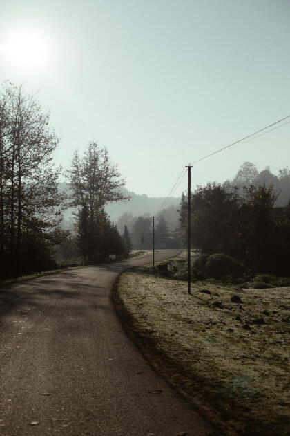 Leyla Əliyeva, Arzu Əliyeva və Alena Əliyeva Lənkəranda ekoloji aksiyalarda iştirak ediblər