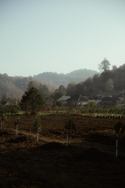 Leyla Əliyeva, Arzu Əliyeva və Alena Əliyeva Lənkəranda ekoloji aksiyalarda iştirak ediblər