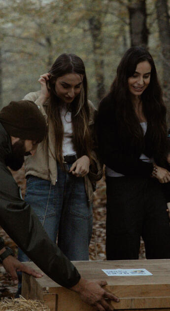 Leyla Əliyeva, Arzu Əliyeva və Alena Əliyeva Lənkəranda ekoloji aksiyalarda iştirak ediblər