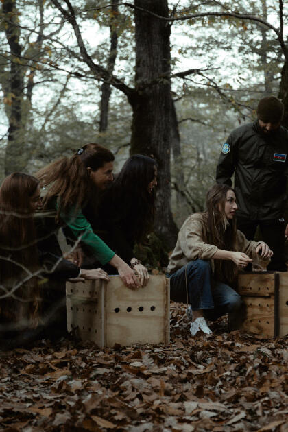 Leyla Əliyeva, Arzu Əliyeva və Alena Əliyeva Lənkəranda ekoloji aksiyalarda iştirak ediblər