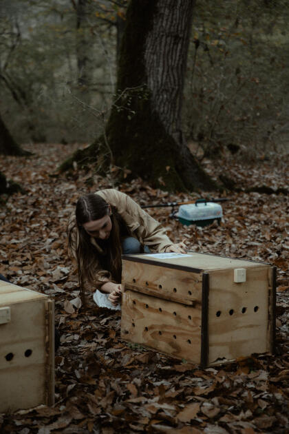 Leyla Əliyeva, Arzu Əliyeva və Alena Əliyeva Lənkəranda ekoloji aksiyalarda iştirak ediblər