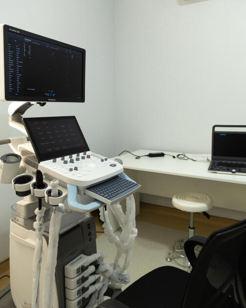 Leyla Əliyeva və Alena Əliyeva Lənkəran Dövlət Universitetinin nəzdində yaradılmış Baytarlıq Klinikası ilə tanış olublar