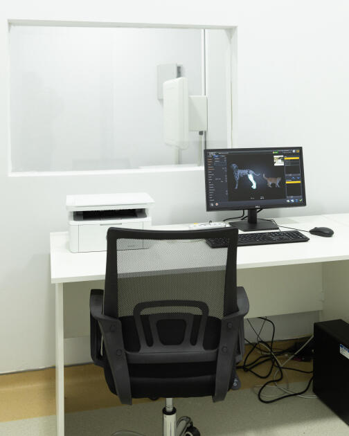 Leyla Əliyeva və Alena Əliyeva Lənkəran Dövlət Universitetinin nəzdində yaradılmış Baytarlıq Klinikası ilə tanış olublar