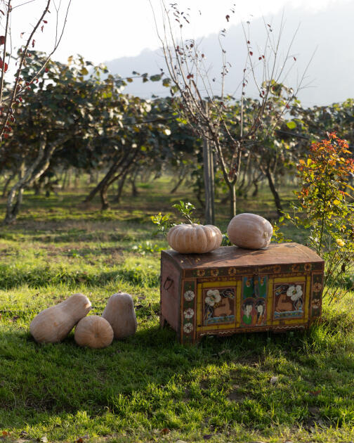 Leyla Əliyeva, Arzu Əliyeva və Alena Əliyeva Lənkəranda fermer təsərrüfatı ilə tanış olublar