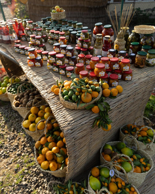 Leyla Əliyeva, Arzu Əliyeva və Alena Əliyeva Lənkəranda fermer təsərrüfatı ilə tanış olublar