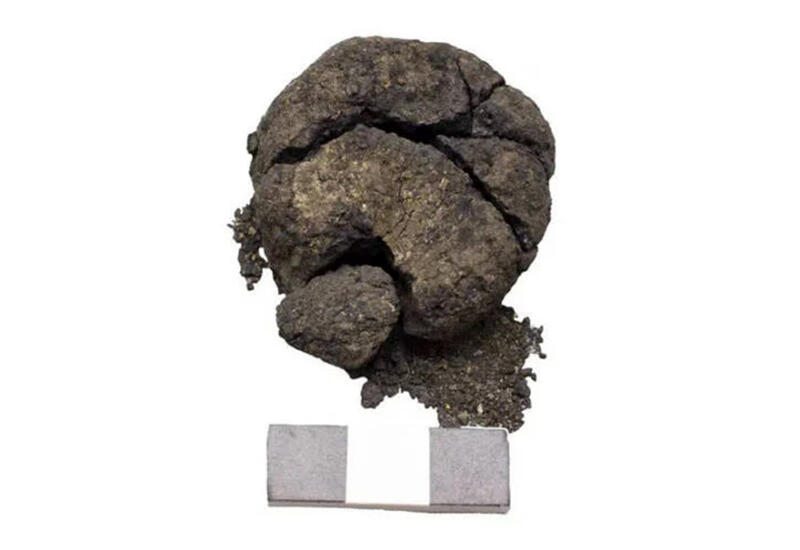 Турецкие ученые воссоздали рецепт хлеба 3000-летней давности