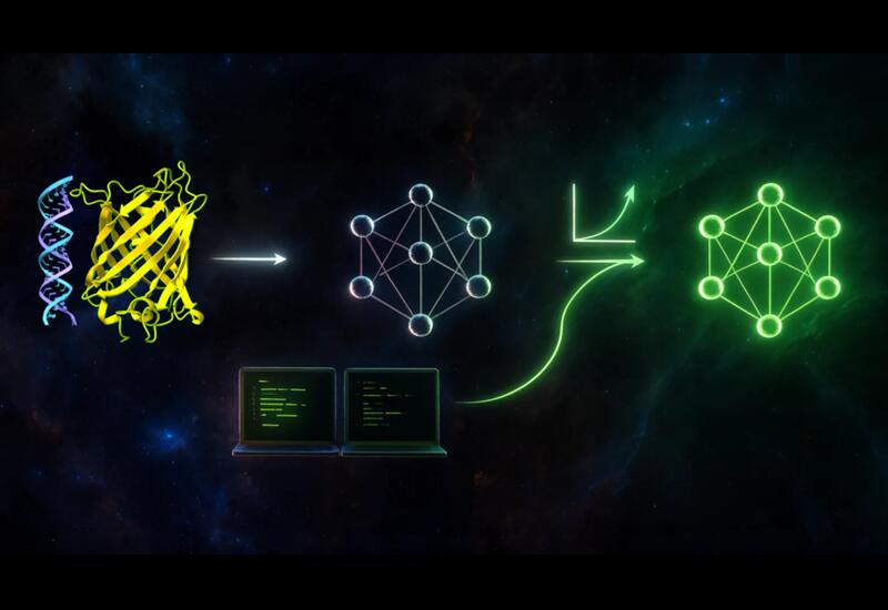 NVIDIA раскрыла секрет ускорения биологических трансформеров