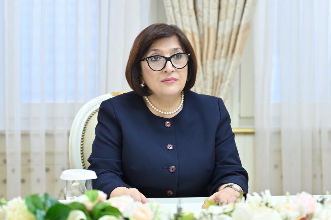 Азербайджан и Словакия обсудили стратегическое партнерство