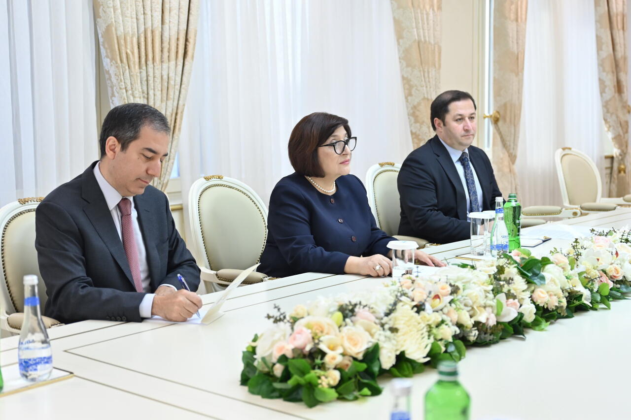 Азербайджан и Словакия обсудили стратегическое партнерство