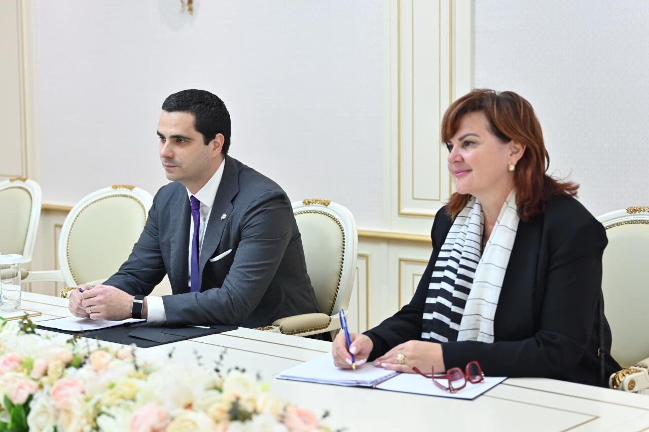 Азербайджан и Словакия обсудили стратегическое партнерство