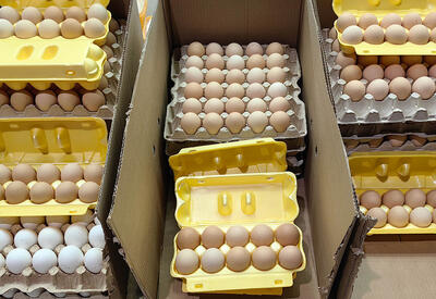 Чем полезны яйца и как их выбрать