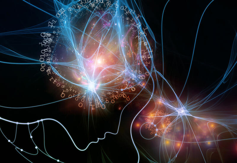 Сознание возникло раньше времени и пространства, заявила ученая